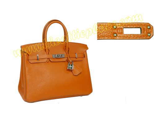 Hermes Limited Birkin 25 Potiron/Gold Trimming Togo I Stamp Outstitch Mat Black Hardware-0